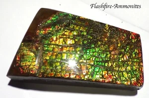 1000 Carat.!! I Sammler Ammolite /Drachenschuppe Grün-Golden-Orange   + VIDEO - Picture 1 of 5