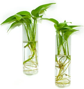 Wall Hanging Planter Glass Plant Propagation Station - Picture 1 of 6