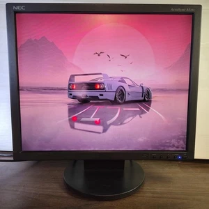 NEC AccuSync AS191 19” 5:4 LCD SXGA Monitor for Retro Gaming 1280 X 1024 DIRT In - Picture 1 of 18