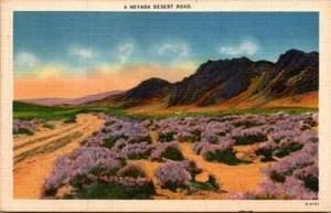Nevada Desert Road linen Postcard - Picture 1 of 2