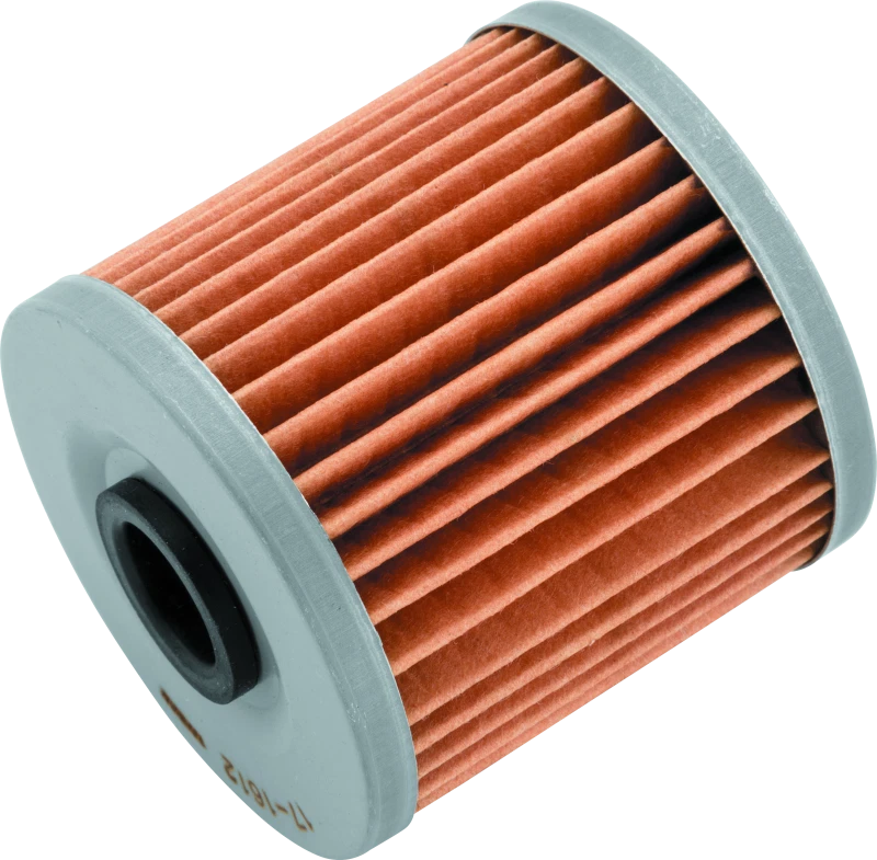 Filtro de aceite BikeMaster para Kawasaki BM-123 - negro Foto 1 de 2