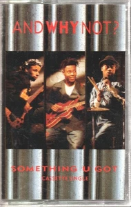 And Why Not Something U Got cassette UK Island 1990 CIS452 - Picture 1 of 2