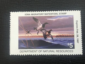 ICOLLECTZONE US Iowa 1996 Duck Hunting Stamp VF NH IO25 - Picture 1 of 1