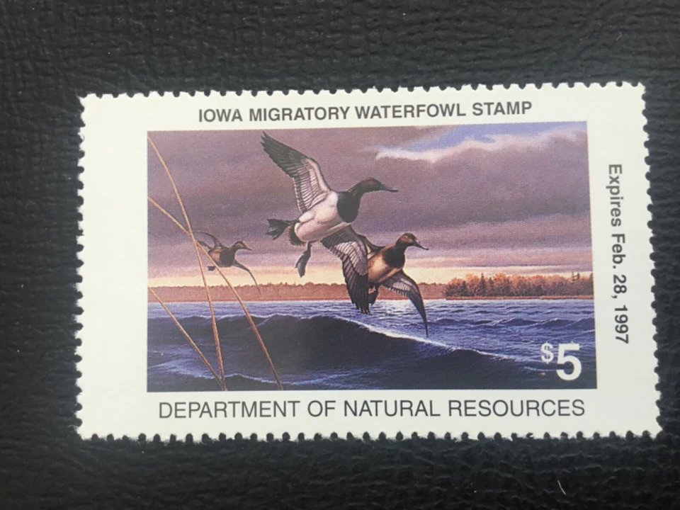 ICOLLECTZONE  US Iowa 1996 Duck Hunting Stamp VF NH IO25 - Image 1 of 1