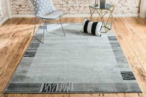 5 x 8 ft New Area Rug Light Gray/B H Home Decorative Art Soft Carpet Collectible