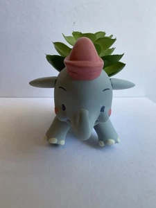 Nueva Plantadora Suculenta Dumbo Parques Disney Jerrod Maruyama Planta Imitación - Imagen 1 de 6