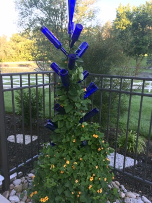 FREE SHIPPING--18-bottle BottleBrush Bottle Tree by Bottle Tree Creations - Image 1 of 4