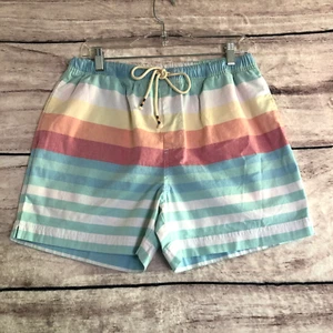 Chubbies Badehose Herren L blau pastell gestreift 5" Schrittlänge Strand Surfen ohne Innenfutter - Bild 1 von 12