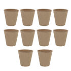 Biodegradable Peat Pot Tray for Plants (10-pack)