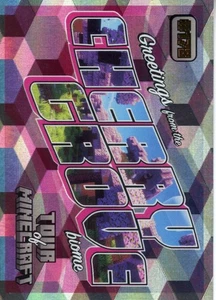 2024 Panini Minecraft - Tour Minecraft Ice Foil - #178 Cherry Grove Biome - Picture 1 of 2