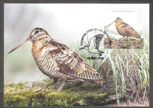 The Eurasian Woodcock - Bird of the Year 2022 Estonia stamp Maxicard Mi 1038 - Picture 1 of 1