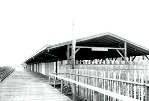 RARE 5x7 B&W PHOTO OF THE LIRR STEEPLECHASE (PLAYLAND) BEACH 98th STREET STATION - Picture 1 of 1