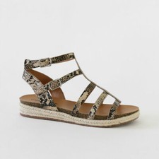 city classified wholesale