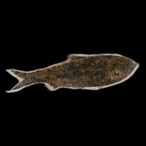 XXL 4,4" Knightia Eocaena Fossil Fisch Green River FM WY Eozänzeit Echtheitszertifikat & Ständer - Bild 1 von 8