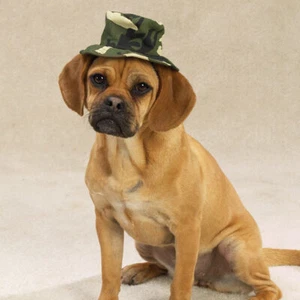 Casual Canine Camo Bucket Dog Hat for Rain or Sun 3 sizes 3 colors - Picture 1 of 7
