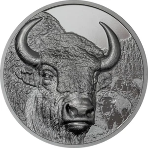 2025 Mongolei Wilde Mongolei Bison 2 oz Silbermünze schwarz PP - Bild 1 von 7