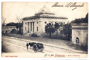 Palermo - Orto botanico - 1903 - Picture 1 of 2