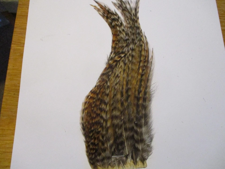 Parche Whoolly Bugger Hackle Cree Serpentinas Bajo Lucio Salmón Foto 1 de 1