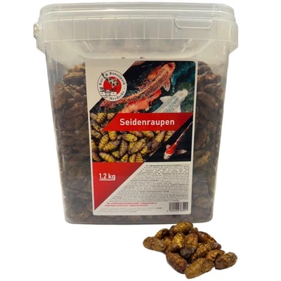 KOI HERDECKE Premium Seidenraupen 1,2 kg getrocknet gesunder Insektensnackfür (12,49 EUR/kg)