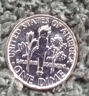 2022 P Roosevelt Dime - Гладкий толстый край мяты Ошибка? Редкие коллекционные монеты - Изображение 1 из 4