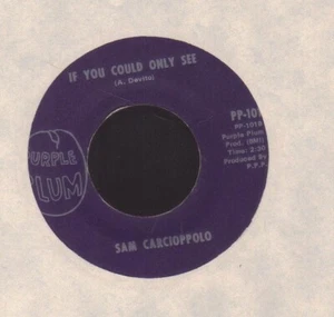 CLEVELAND Rockabilly 45/SAM Carcioppolo on Purple Plum A Boy we knew - Imagen 1 de 1
