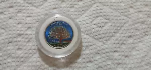 Colorized 1999-P CONNECTICUT State Quarter Sealed Uncirculated - Picture 1 of 2