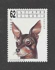 Dog Art Head Portrait Postage Stamp TOY MANCHESTER TERRIER Bulgaria 1991 MNH