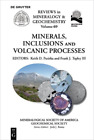 Keith D. Putirka Minerals, Inclusions And Volcanic Processes (Poche)