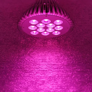 36W Full Spectrum 400~840nm PAR38 LED Lamp Spot Light Bulb Therapy Plant E26 E27 - Picture 1 of 7