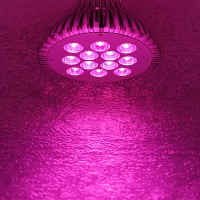 36W Full Spectrum 400~840nm PAR38 LED Lamp Spot Light Bulb Therapy Plant E26 E27 - Image 1 of 4