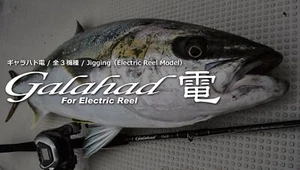 Yamaga Rod Baitcast Jigging Model Galahad GA-624B-Electric Reel (3951) - Picture 1 of 6