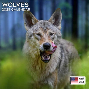 Calendario Wolves 2026 - Calendario de Pared Vida Silvestre - ¡Hecho en EE. UU.! - Imagen 1 de 8