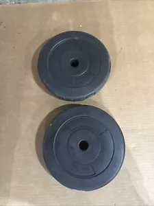 Two 10 lb standard 1” Vinyl Weight Plates - 20 lbs Total - Picture 1 of 4