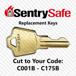 Sentry Safe Replacement Key Cut to Your Code C001B - C175B - Picture 1 of 1