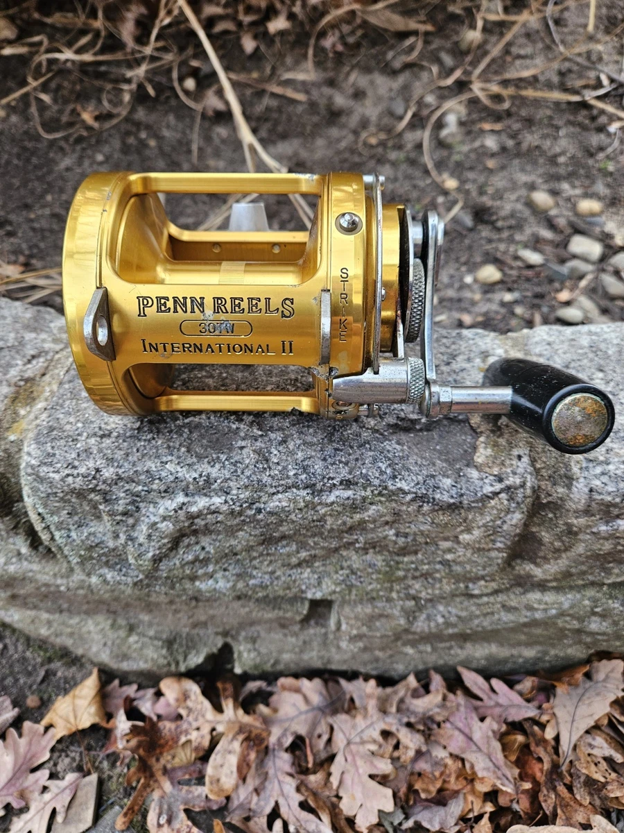 Penn International 30tw for sale | eBay
