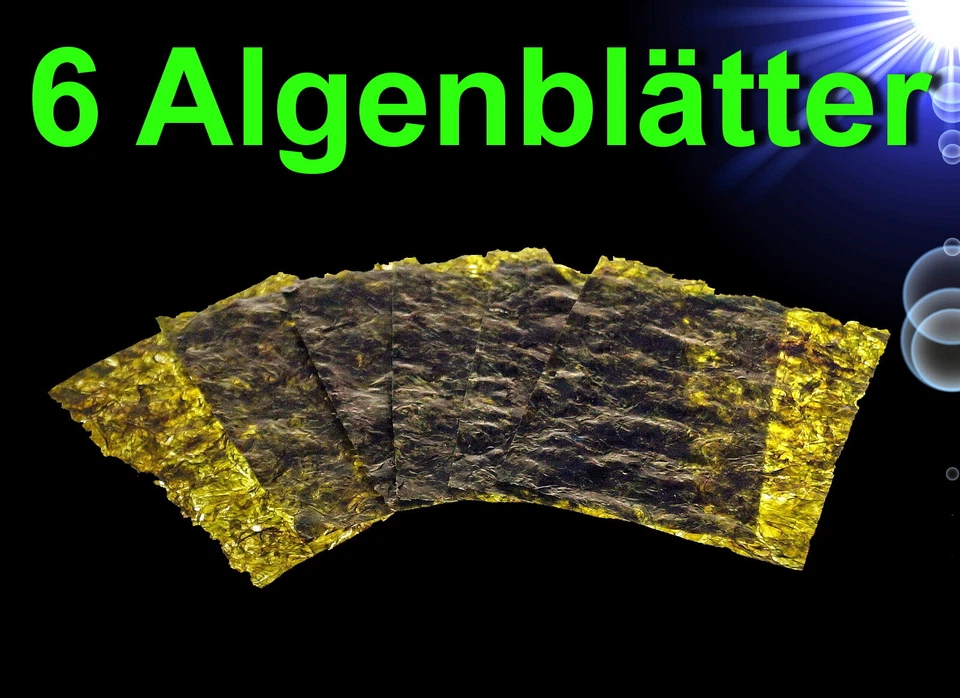 Garnelen 🍀 6 ALGENBLÄTTER 🍀. Natur Terrarium Krebse Schnecken Zubehör Aquarium