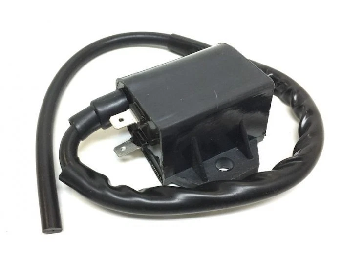 Suzuki AH AP 50 Address, Italjet Formula 50 CDI Zündeinheit Zündspule - Bild 1 von 1