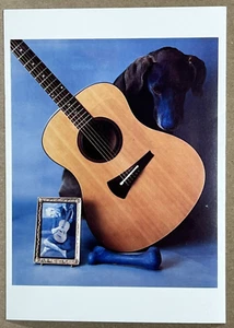 Guitarra y perro Blue Period 1981 de William Wegman - Postal vintage - Imagen 1 de 2