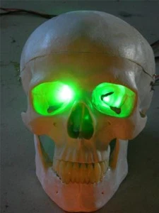 HALLOWEEN PROP GREEN LED EYES FOR MASK OR SKULL 24 inch - Picture 1 of 1
