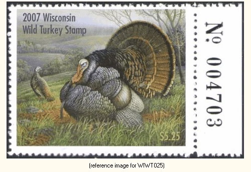 D2K Wisconsin Wild Turkey 2007 $5.25 w/#tab - Image 1 of 1