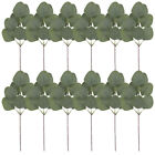  12 Pcs Artificial Eucalyptus Stems Picks Flower Boquet Leaves Decorations