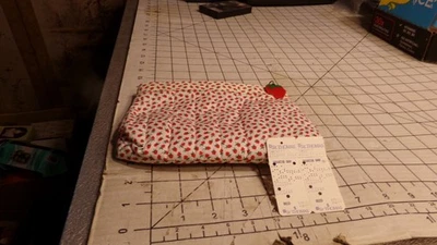 NOS 复古 St Thomas 草莓化妆品盒/包 — 第 1/4 张图片