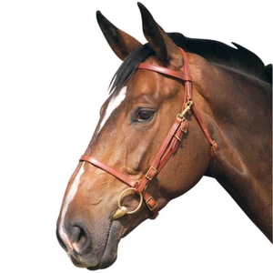 Trensenzaum Wanderreithalfter - Bild 1 von 1