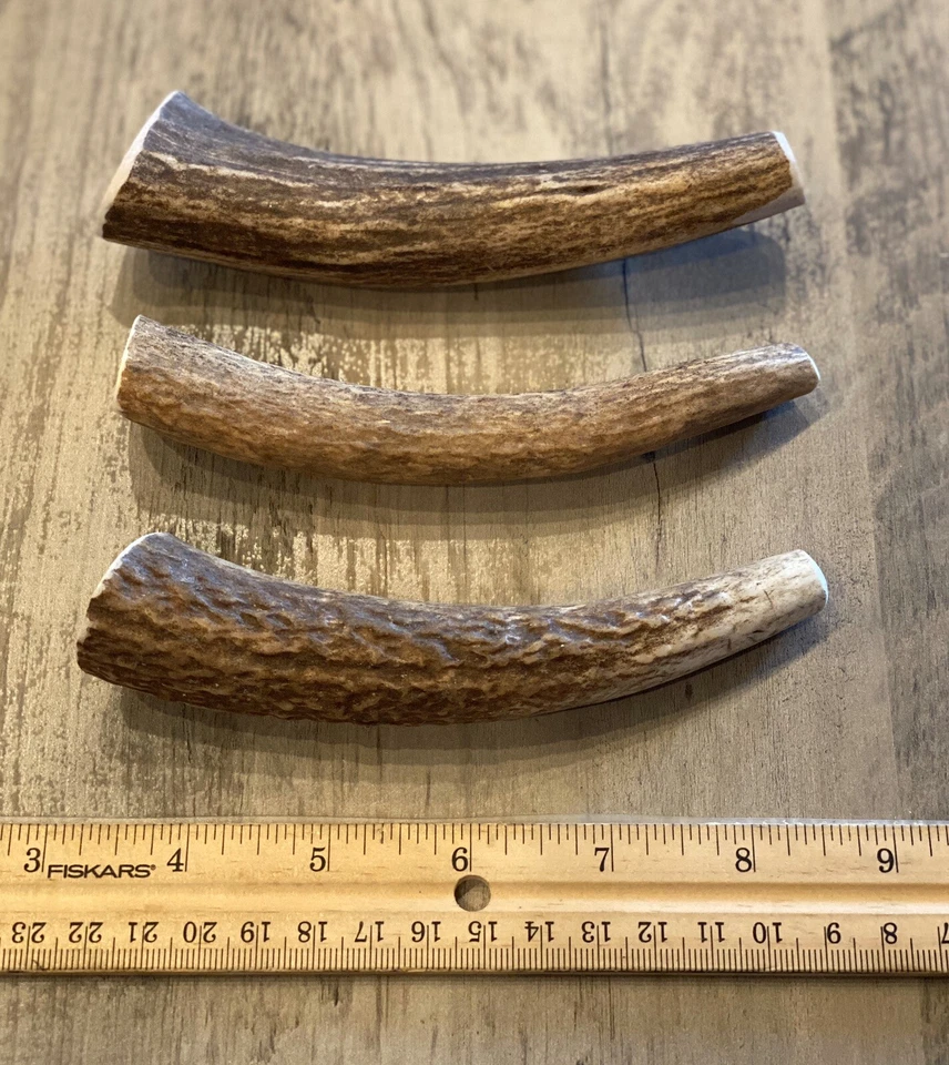 (3 PACK) MEDIUM  Elk/Deer Antler Premium Dog Chews **OREGON ANTLER WORKS** - Image 1 of 4