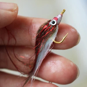 12 pcs Wounded Minnow Polar Fry Slowly Sinking Salmon Trout Fly Fishing Flies - Picture 1 of 7