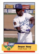 1994 Triple A All-Stars Fleer/ProCards #AAA10 Dwayne Hosey Sharon Pennsylvania 