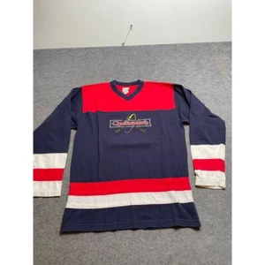 Camisa De Colección 2000 Warner Bros Studio Store Quidditch Harry Potter Colorblock Talla XL - Imagen 1 de 9