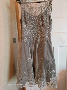 Silver Grey Monsoon Party Wedding Cocktail Dress Size 18 New Unworn - Picture 1 of 12