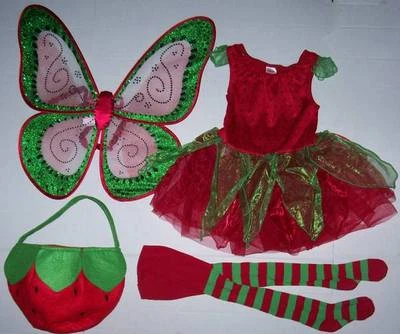 GYMBOREE STRAWBERRY FAIRY COSTUME 3-4 & Pottery Barn Kids treat bag Wings tights - Image 1 of 4