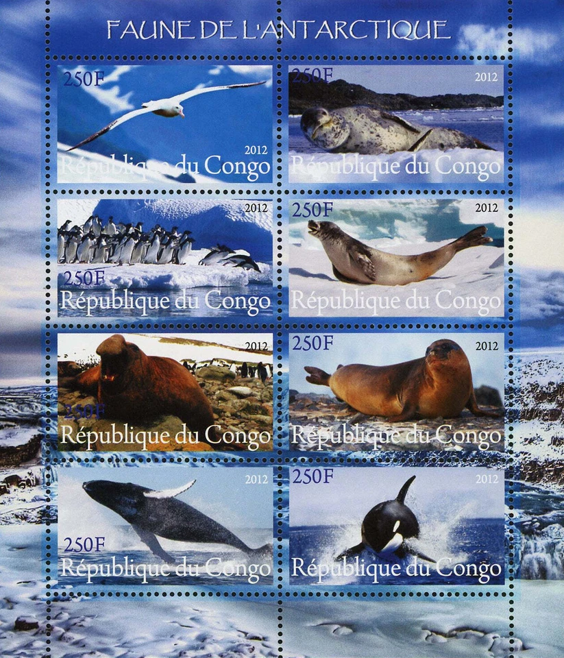 Congo Antarctic Fauna Penguin Seagull Seal Whale Souvenir Sheet of 8 Stamps Mint - Image 1 of 1
